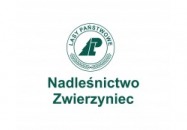 Sadzonki świerka i jodły