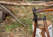 XVII Ogólnopolski Gwiaździsty Rajd Rowerowy na Wzgórze Polak - fot. A. Pawluk