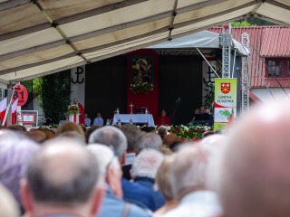 81. rocznica Bitwy pod Osuchami - fot. Julia Pawluk