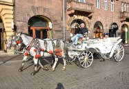 Razem Bezpieczniej - Wyjazd do Krakowa na Targi Książki