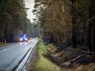 Gmina Tereszpol wspiera strażaków walczących z pożarem Puszczy Solskiej