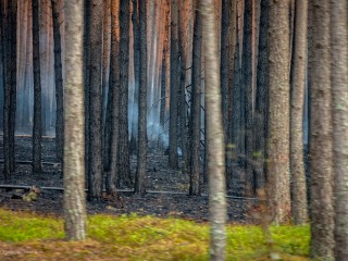 Gmina Tereszpol wspiera strażaków walczących z pożarem Puszczy Solskiej