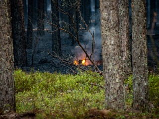 Gmina Tereszpol wspiera strażaków walczących z pożarem Puszczy Solskiej