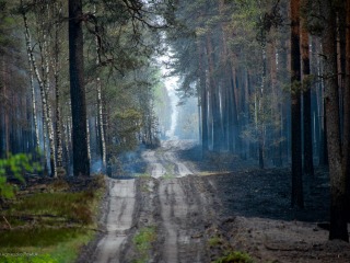 Gmina Tereszpol wspiera strażaków walczących z pożarem Puszczy Solskiej