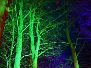 Marsz na Wzgórze Polak 2025 fot. Agnieszka Pawluk, Julia Pawluk