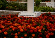 DZIEŃ WALKI I MĘCZEŃSTWA WSI POLSKIEJ Z PREZYDENTEM RP W SOCHACH