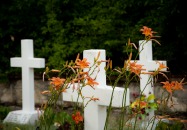 DZIEŃ WALKI I MĘCZEŃSTWA WSI POLSKIEJ Z PREZYDENTEM RP W SOCHACH