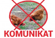 Komunikat Lubelskiego Wojewódzkiego Lekarza Weterynarii w Lublinie