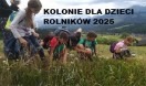KOLONIE Z KRUS