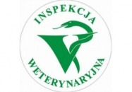 Wiosenna akcja szczepień lisów przeciwko wściekliźnie