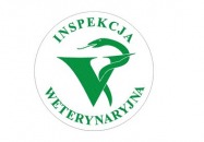 Wiosenna akcja szczepień lisów przeciwko wściekliźnie