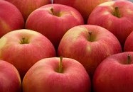 Agencja Rynku Rolnego informuje 