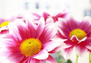 Najserdeczniejsze Życzenia 