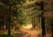 Roztoczański Park Narodowy