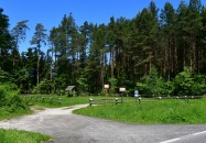 Lasy Państwowe - Panasówka