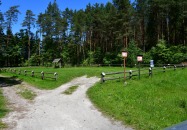 Lasy Państwowe - Panasówka