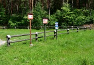 Lasy Państwowe - Panasówka