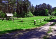 Lasy Państwowe - Panasówka