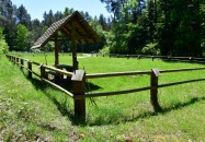 Lasy Państwowe - Panasówka