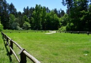 Lasy Państwowe - Panasówka